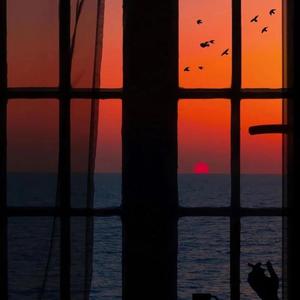 日本免费性爱视频
