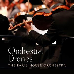 日本免费性爱视频
